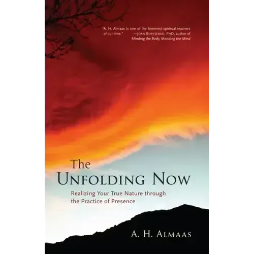 The Unfolding Now: Realizing Your True Nature Through the Practice of Presence