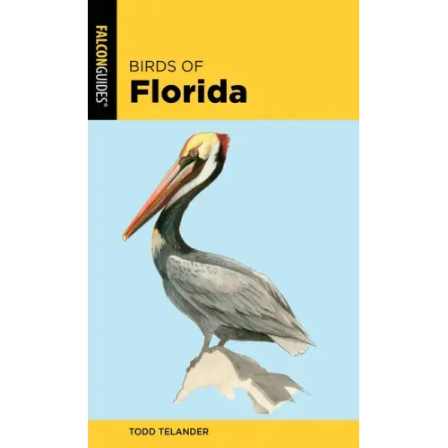 Birds of Florida