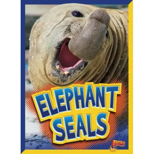 Elephant Seals
