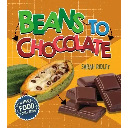 Beans to Chocolate