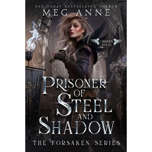 Prisoner of Steel and Shadow