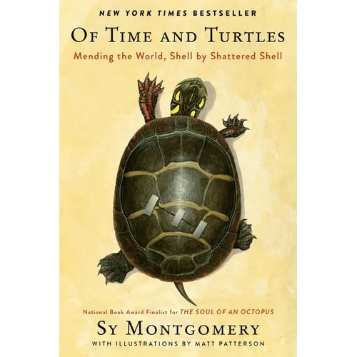 Of Time and Turtles: Mending the World, Shell by Shattered Shell