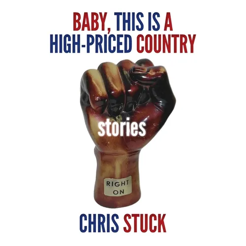 Baby, This is a High-Priced Country: Stories