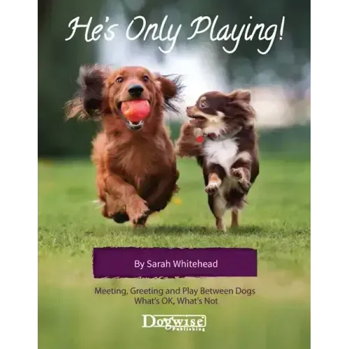 He's Only Playing: Meeting, Greeting and Play Between Dogs. What's Ok, What's Not.