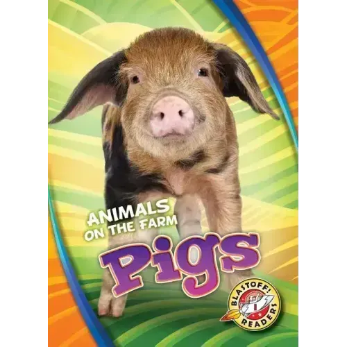 Pigs