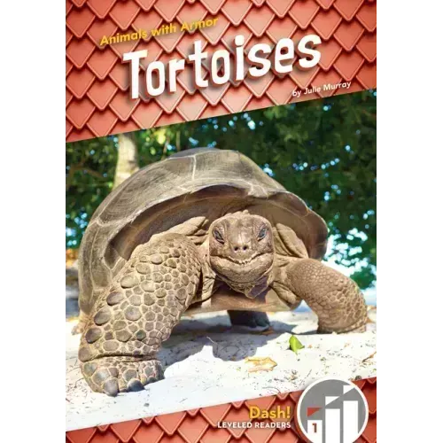 Tortoises