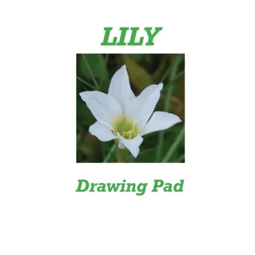 Lily Drawing Pad