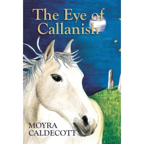 The Eye of Callanish