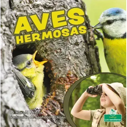 Aves Hermosas (Beautiful Birds)