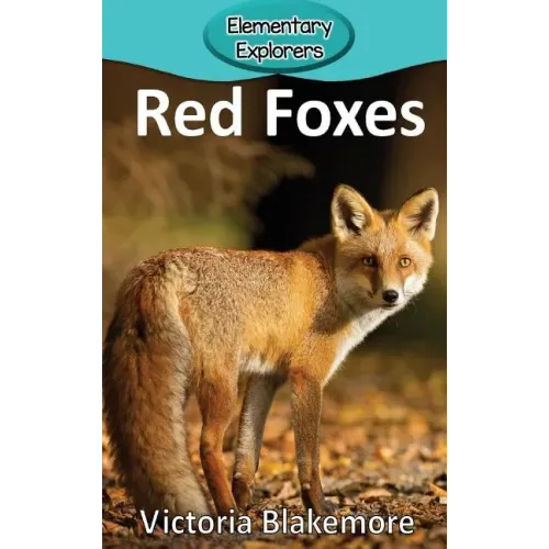 Red Foxes