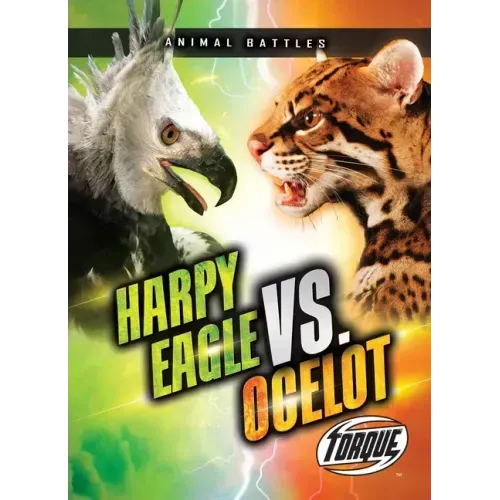 Harpy Eagle vs. Ocelot