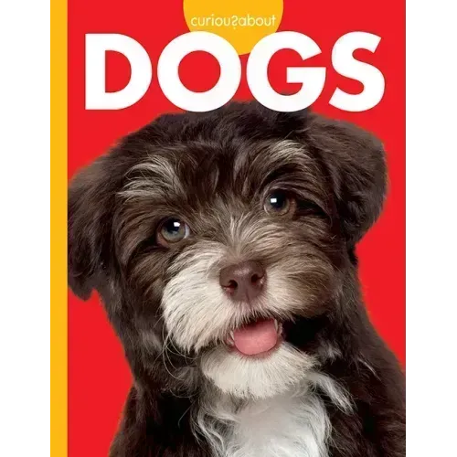 Curious about Dogs