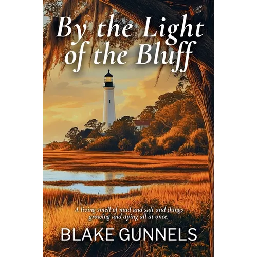 By the Light of the Bluff: A Historical Fiction Novel of a Woman's Courage, Buried Secrets, and Finding Home in Post-Civil War Georgia