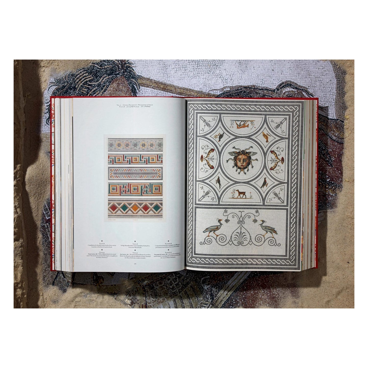 Fausto & Felice Niccolini. Houses and Monuments of Pompeii (German, French, English) Book