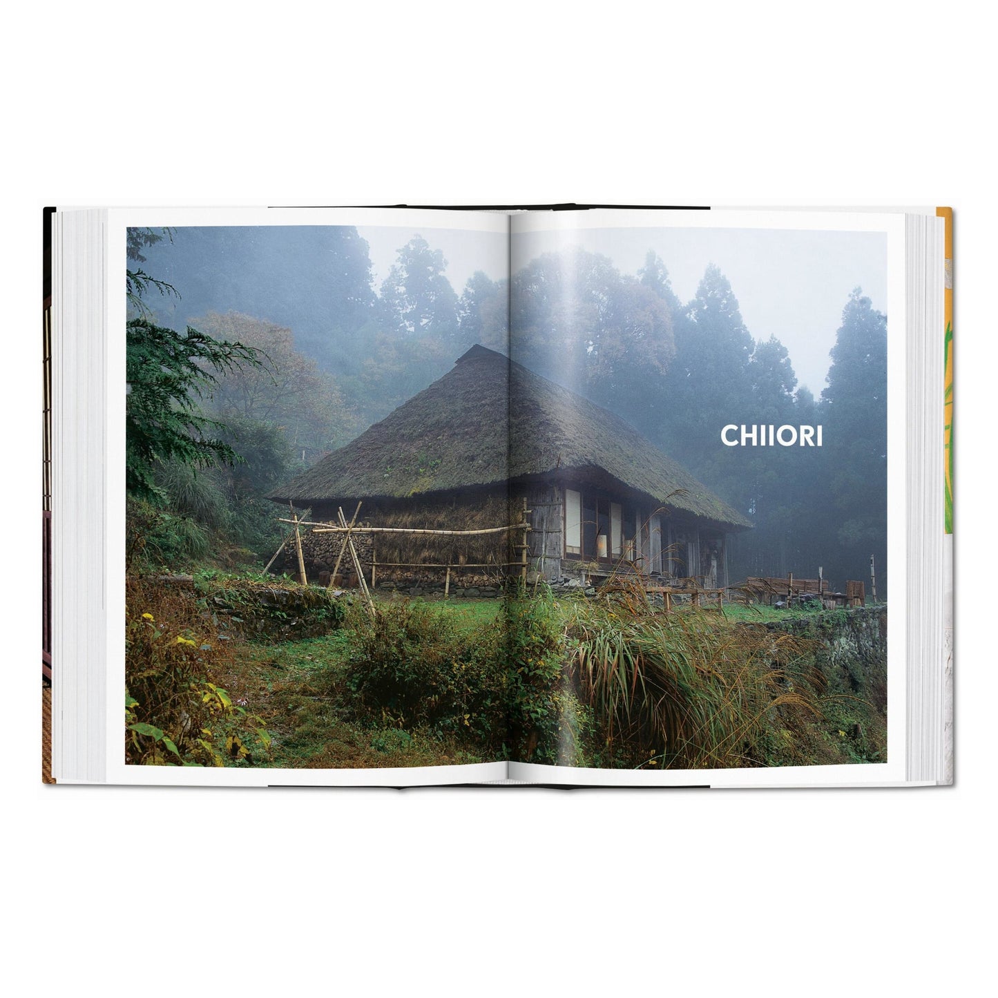 Living in Japan. 45th Ed. (German, French, English) Book