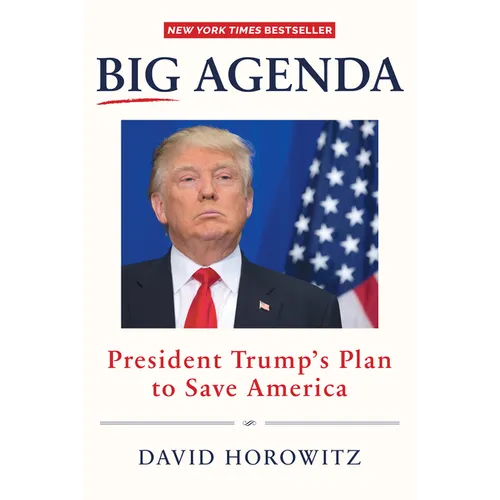Big Agenda: President Trump's Plan to Save America