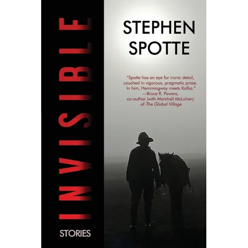 Invisible: Stories