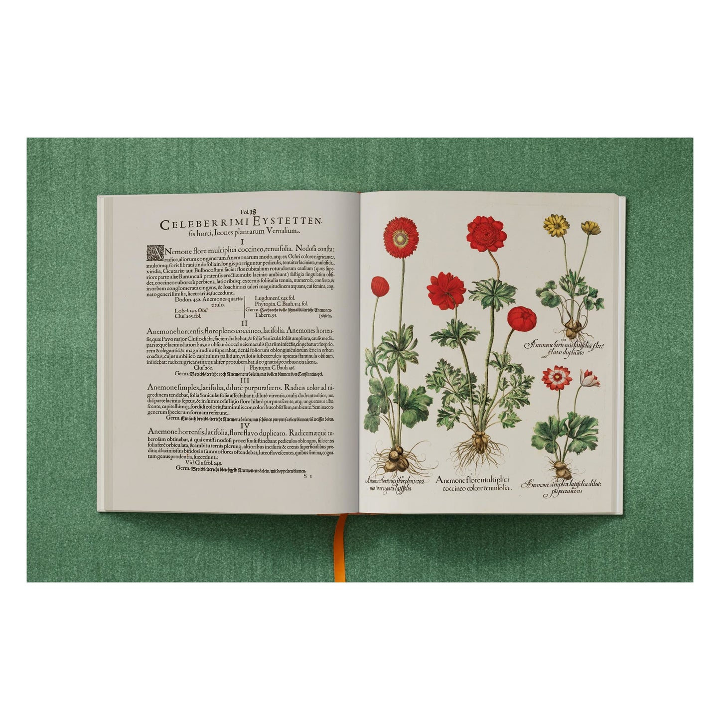 Basilius Besler. The Garden at Eichstätt (German, French, English) (FFE) Book