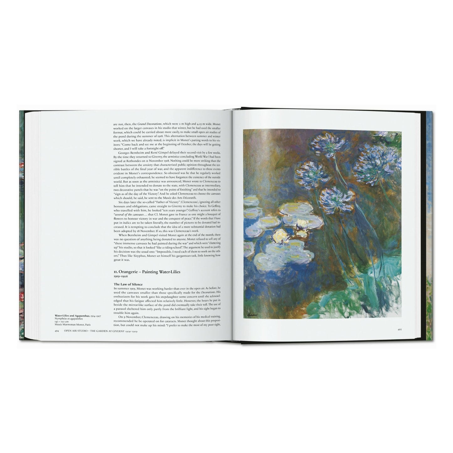 Monet. The Triumph of Impressionism (English) Book