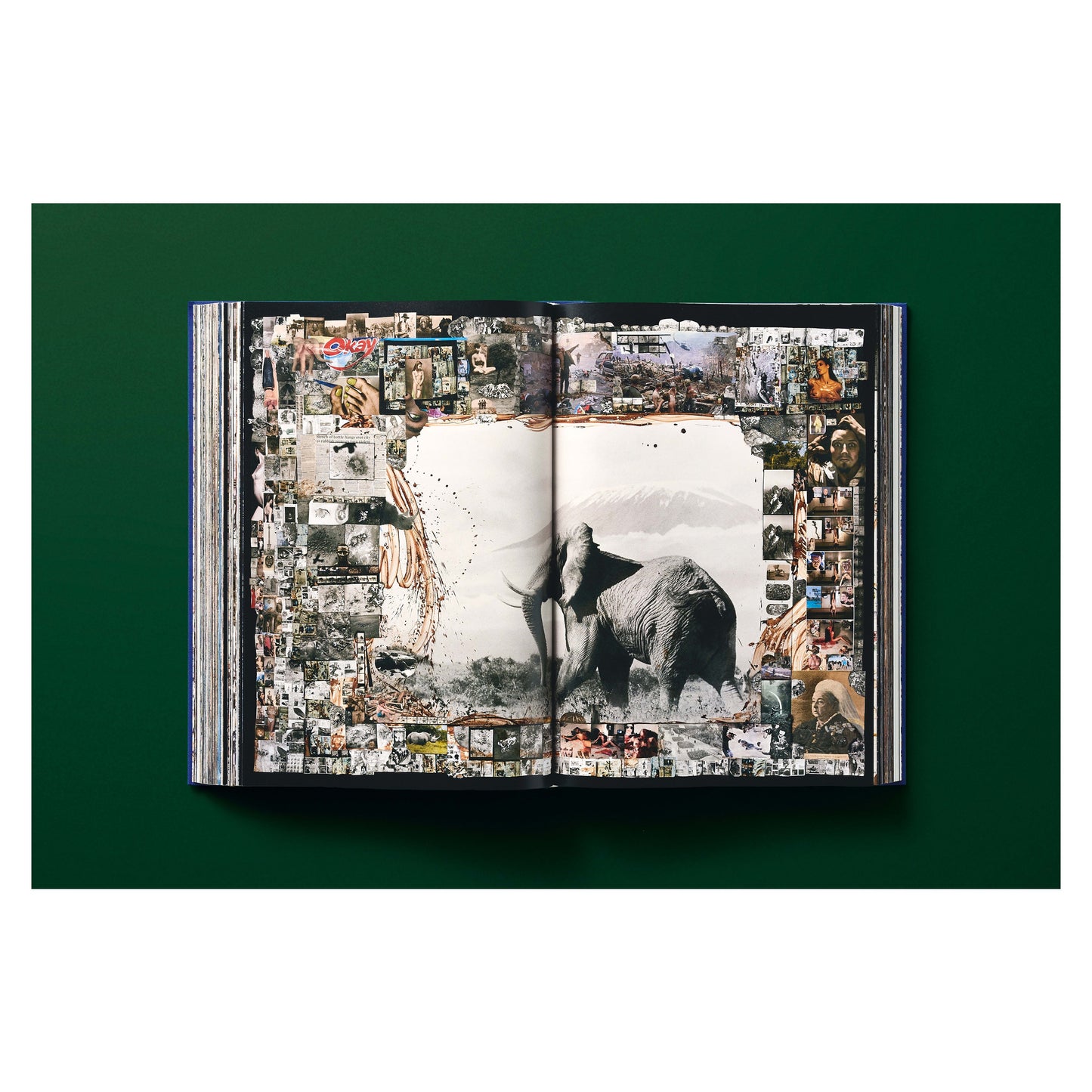 Peter Beard (German, French, English) Book