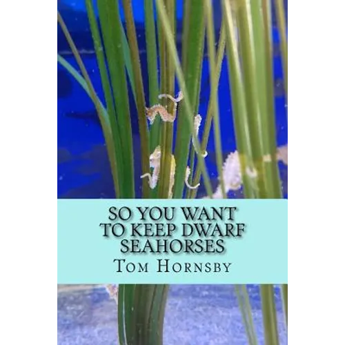 So you want to keep dwarf seahorses