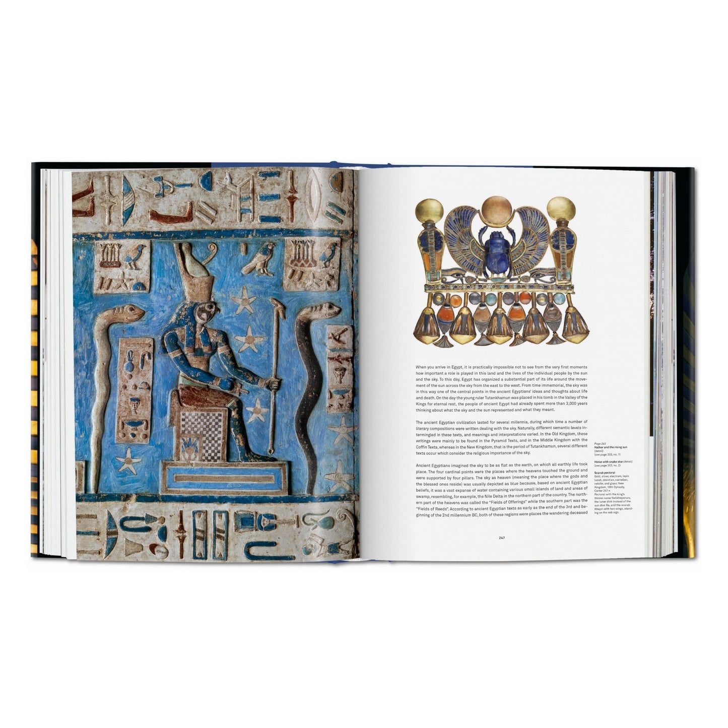 King Tut. The Journey through the Underworld (English) Book