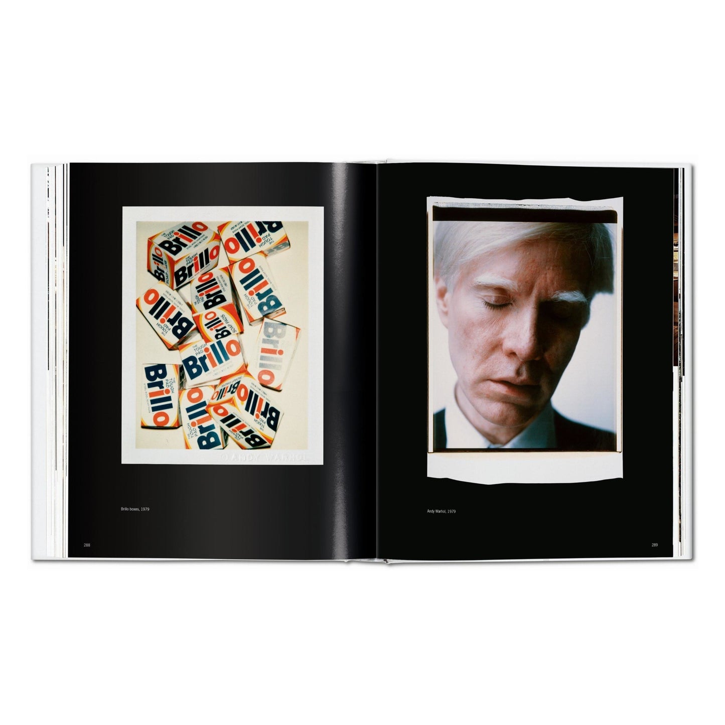 Andy Warhol. Polaroids 1958-1987 (German, French, English) Book