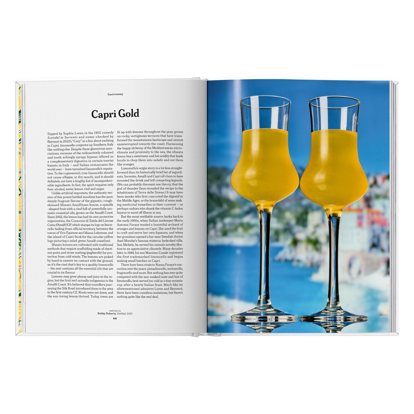 The Gourmand's Lemon. A Collection of Stories and Recipes (English) Book