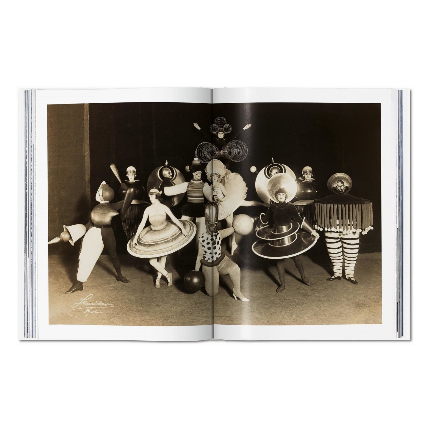 Bauhaus. Updated Edition (English) Book