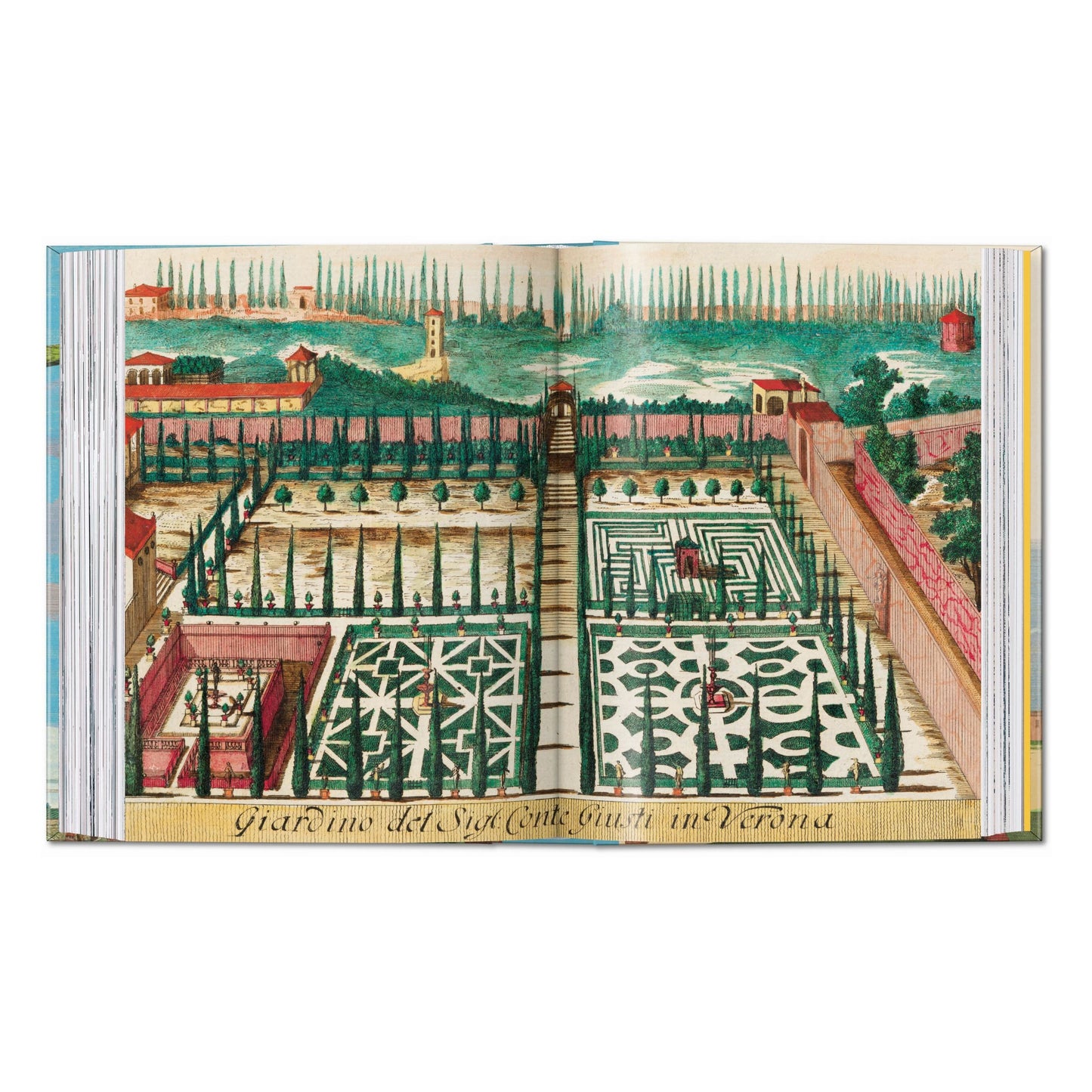 J. C. Volkamer. The Book of Citrus Fruits. 45th Ed. (German, French, English) Book