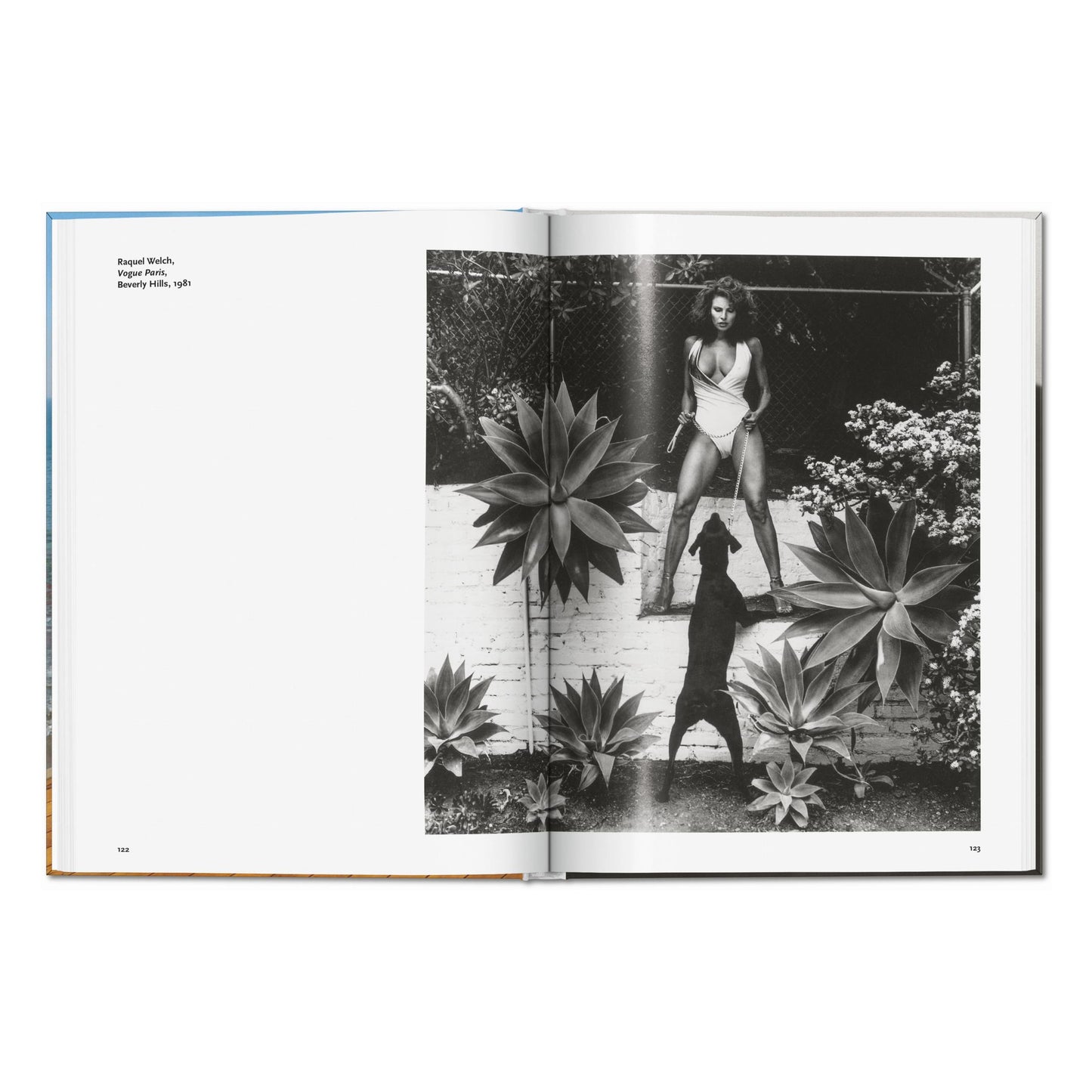 Helmut Newton (German, French, English) Book