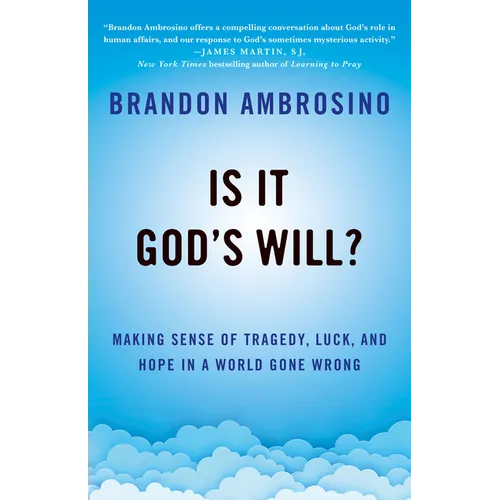 Is It God's Will?: Making Sense of Tragedy, Luck, and Hope in a World Gone Wrong