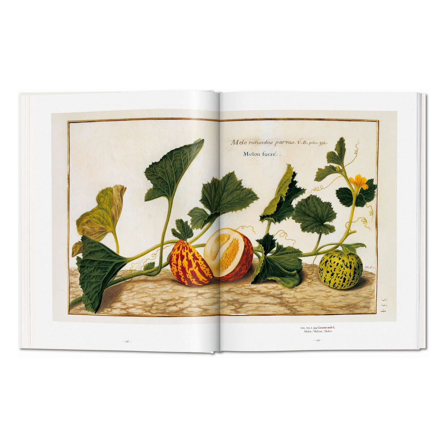 A Garden Eden. Masterpieces of Botanical Illustration (German, French, English) Book