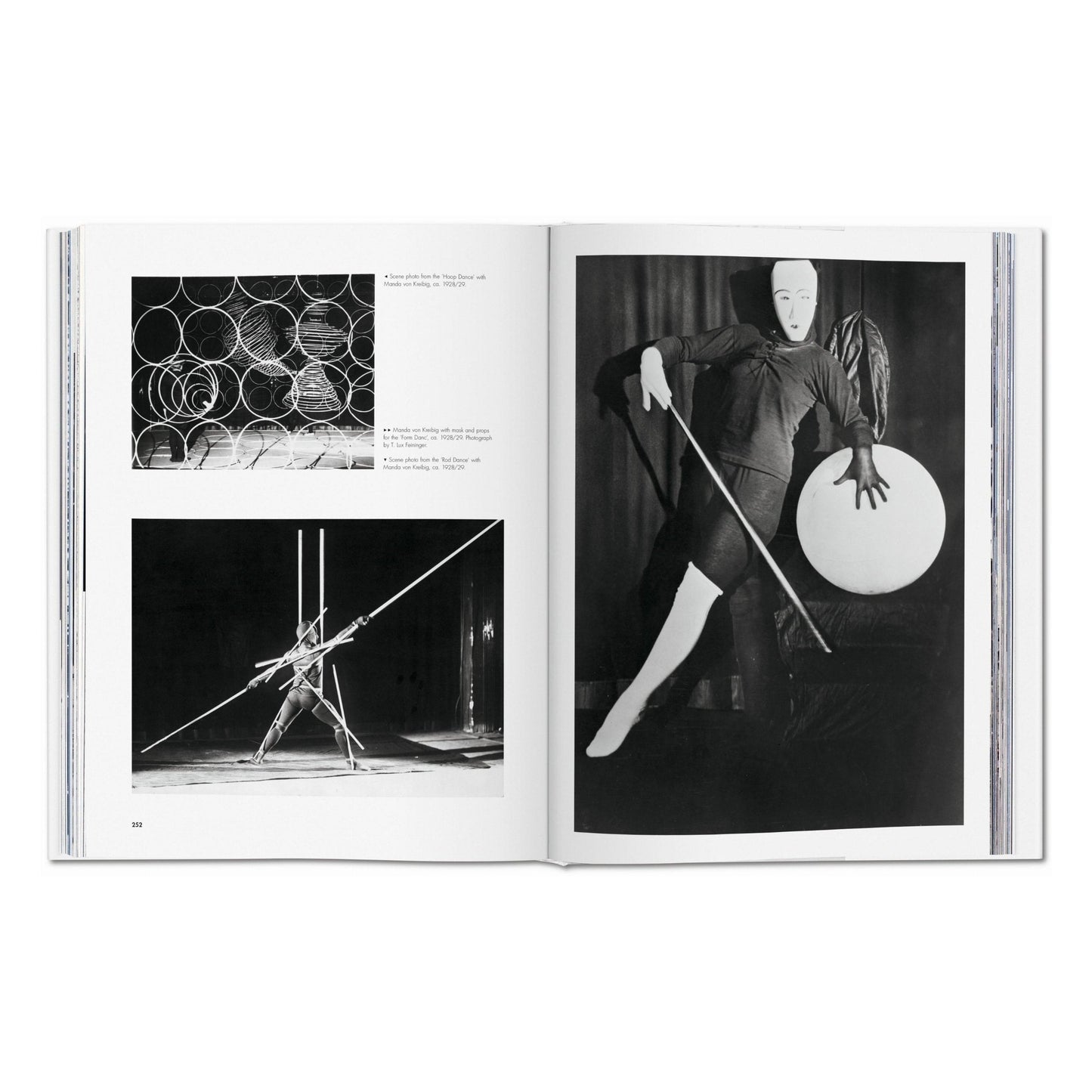 Bauhaus. Updated Edition (English) Book
