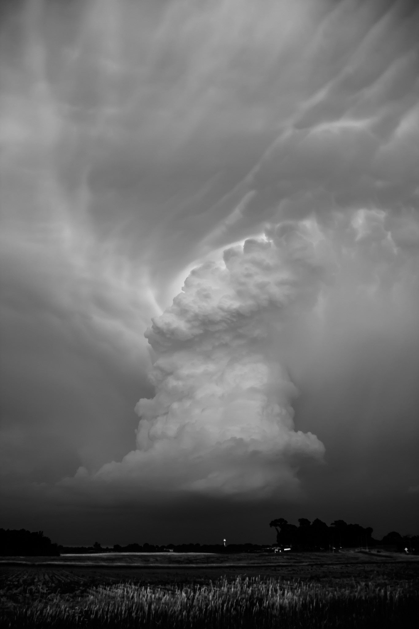 Capture Minnesota: Volume IV Book