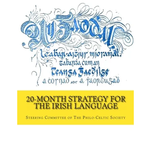 20-Month Strategy for the Irish Language