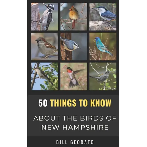 50 Things to Know About Birds In New Hampshire: Birds to Watch in the Granite State
