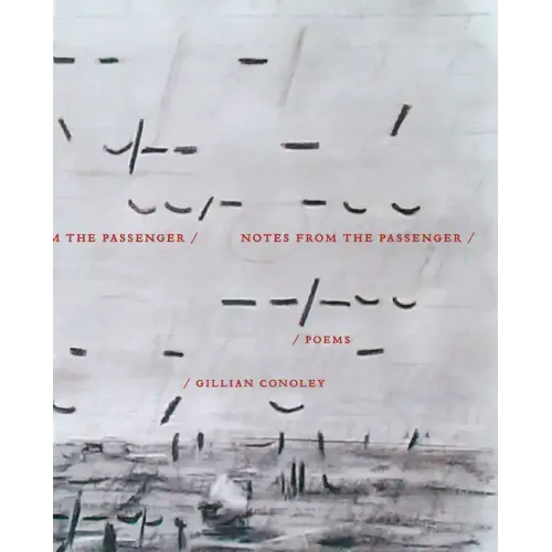 Notes from the Passenger
