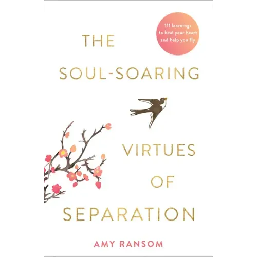 The Soul-Soaring Virtues of Separation: 111 Learnings to Heal Your Heart and Help You Fly