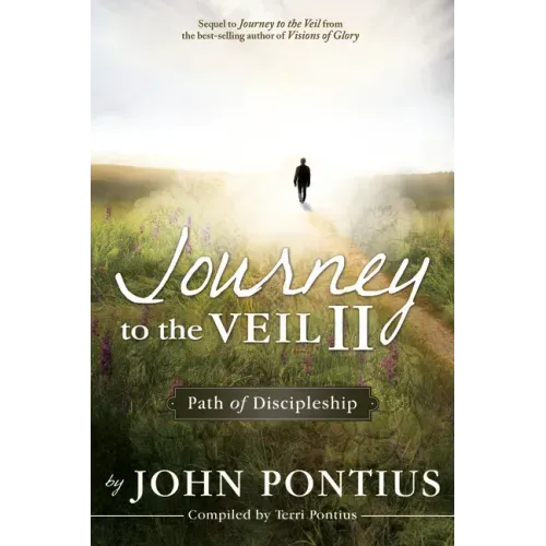 Journey to the Veil II