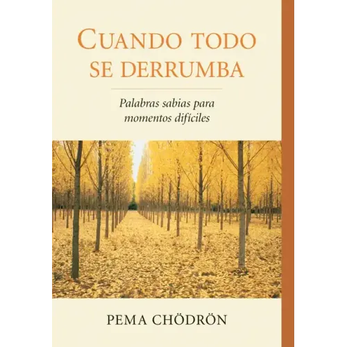 Cuando Todo Se Derrumba (When Things Fall Apart): Palabras Sabias Para Momentos Dificiles