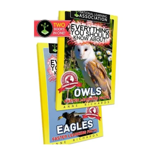 Everything You Should Know About: Owls and Eagles