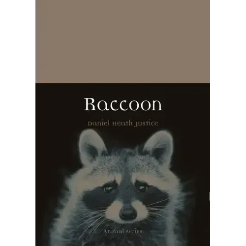 Raccoon