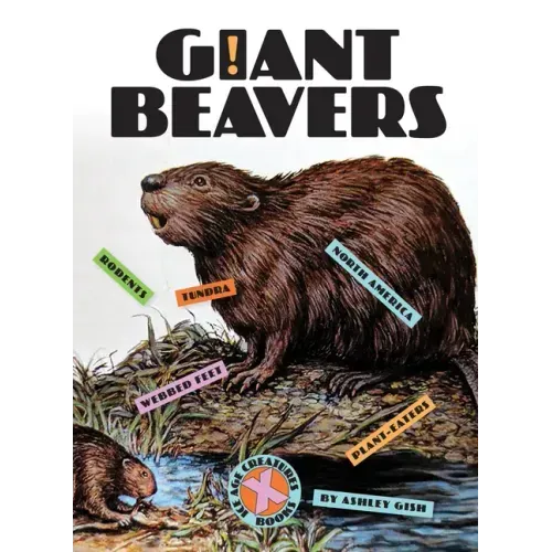 Giant Beavers