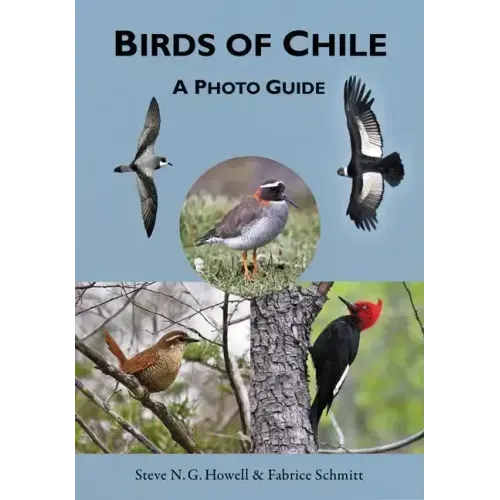 Birds of Chile: A Photo Guide