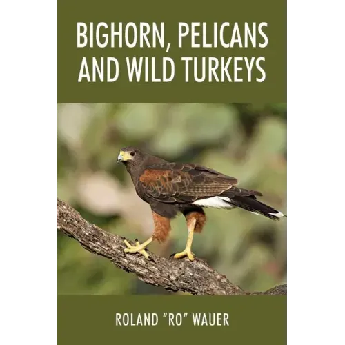Bighorn, Pelicans and Wild Turkeys