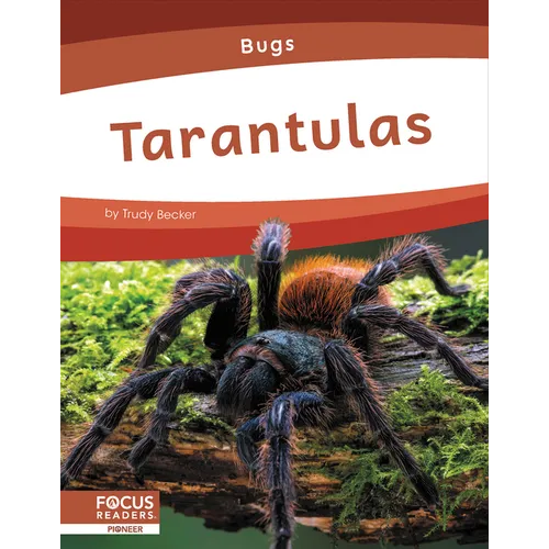 Tarantulas