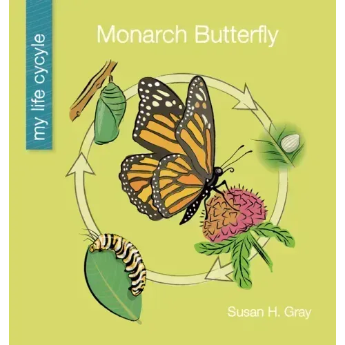 Monarch Butterfly