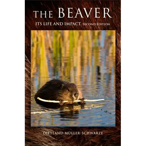 The Beaver: Natural History of a Wetlands Engineer