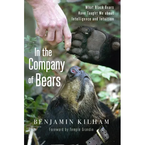 In the Company of Bears: What Black Bears Have Taught Me about Intelligence and Intuition